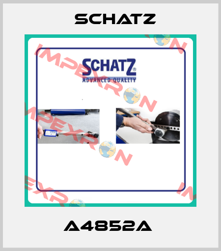 A4852A  Schatz