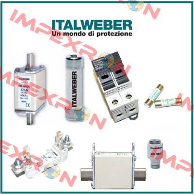 0110250  Italweber