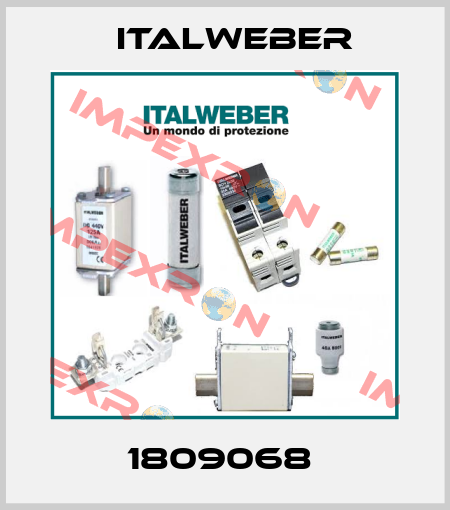 1809068  Italweber