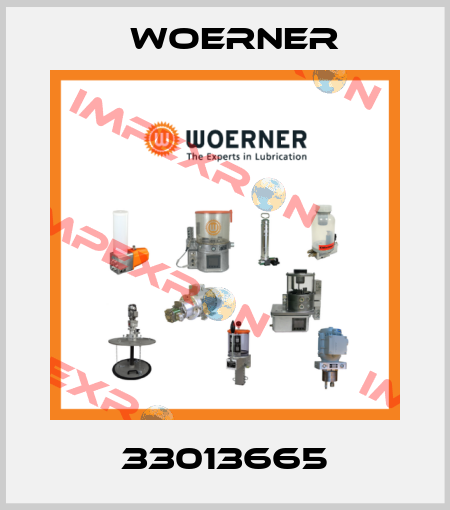 33013665 Woerner