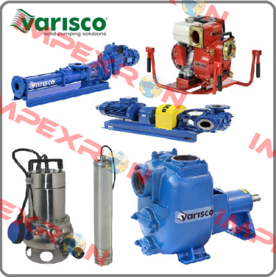 10012309  Varisco pumps