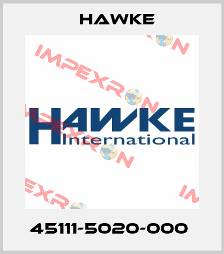 45111-5020-000  Hawke