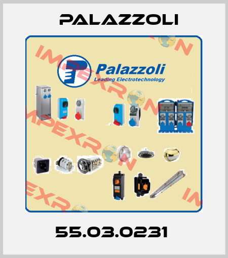 55.03.0231  Palazzoli