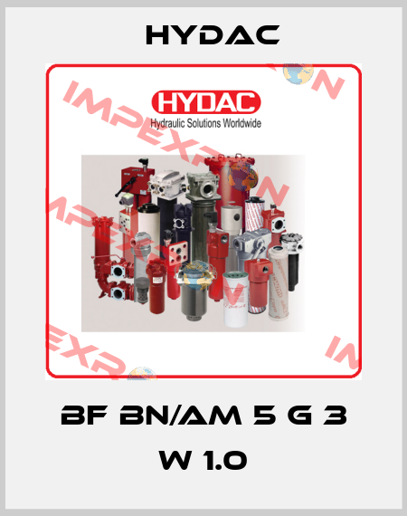 BF BN/AM 5 G 3 W 1.0 Hydac