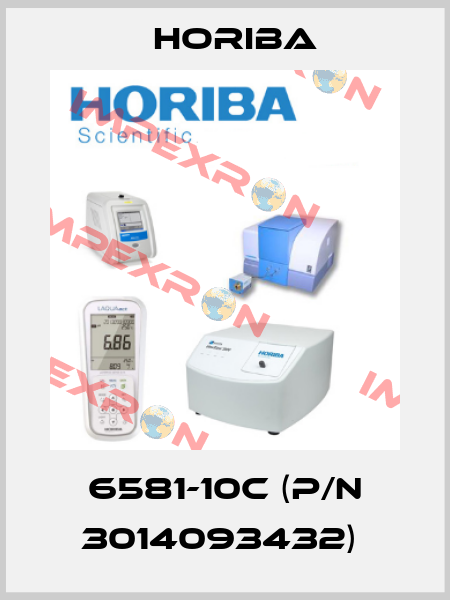 6581-10C (P/N 3014093432)  Horiba