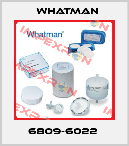 6809-6022  Whatman