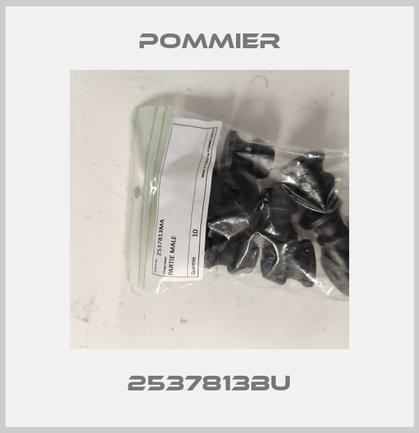 2537813BU Pommier