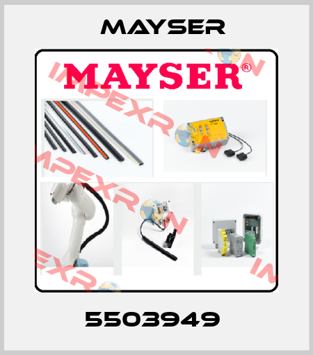5503949  Mayser