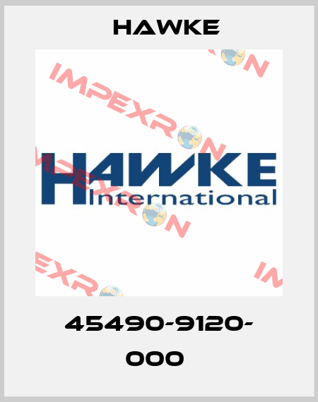 45490-9120- 000  Hawke