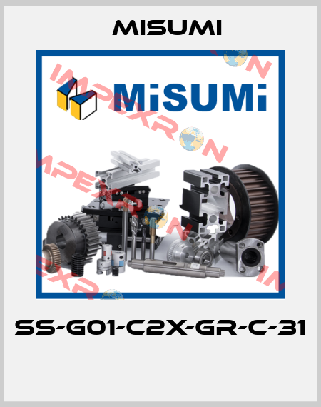 SS-G01-C2X-GR-C-31  Misumi