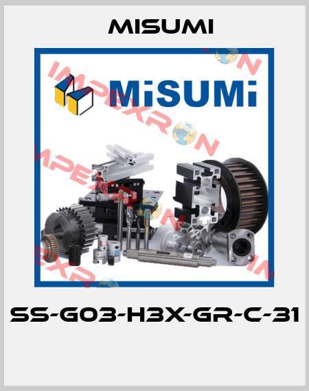 SS-G03-H3X-GR-C-31  Misumi