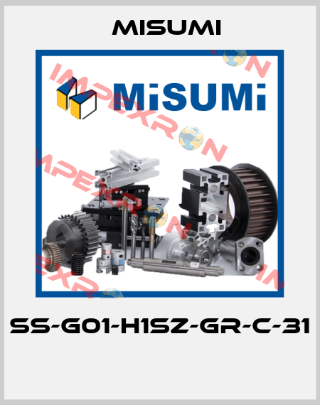 SS-G01-H1SZ-GR-C-31  Misumi