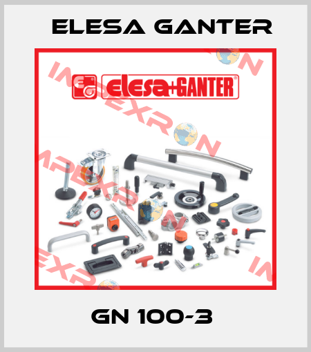 GN 100-3  Elesa Ganter