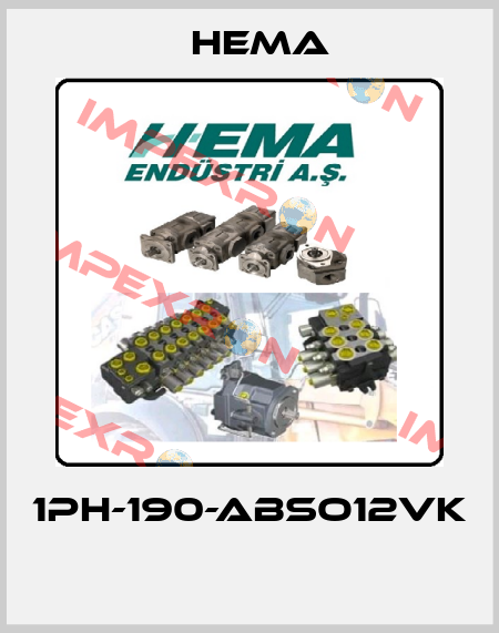 1PH-190-ABSO12VK  Hema