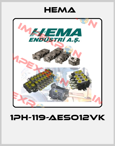 1PH-119-AESO12VK  Hema