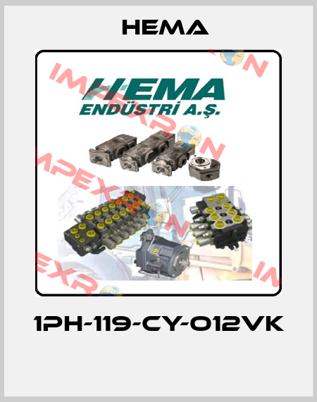 1PH-119-CY-O12VK  Hema