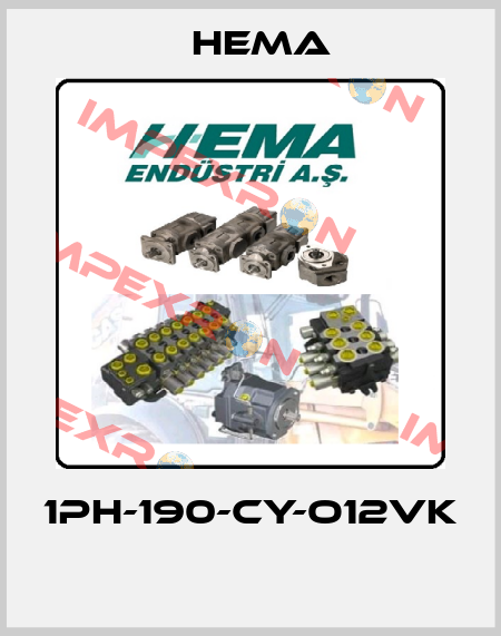 1PH-190-CY-O12VK  Hema