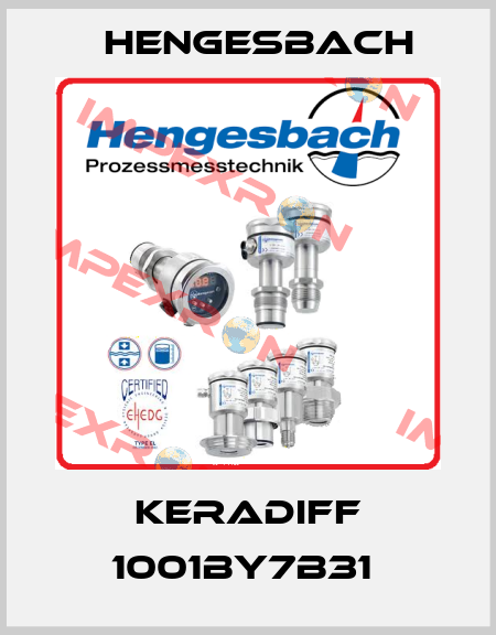 KERADIFF 1001BY7B31  Hengesbach