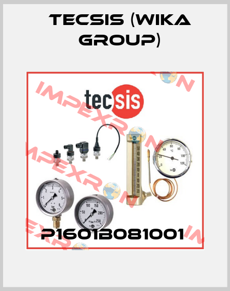 P1601B081001  Tecsis (WIKA Group)