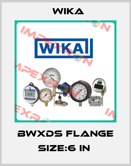 BWXDS FLANGE SIZE:6 IN  Wika