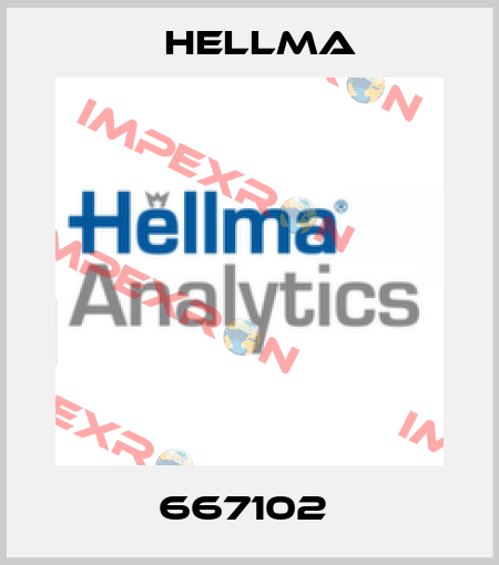 667102  Hellma