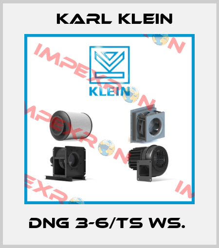 DNG 3-6/TS WS.  Karl Klein