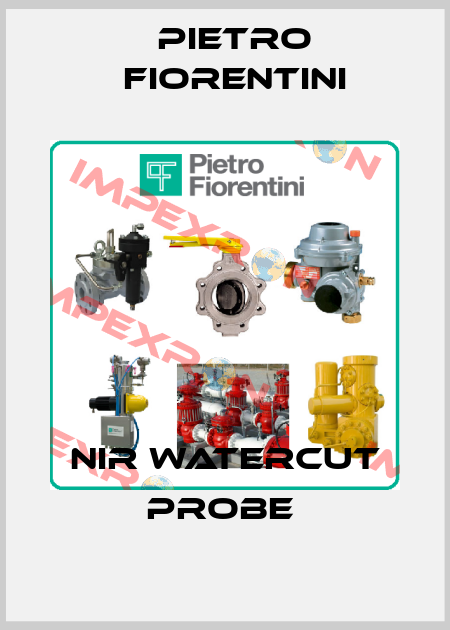 NIR watercut probe  Pietro Fiorentini