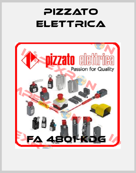 FA 4801-KDG  Pizzato Elettrica