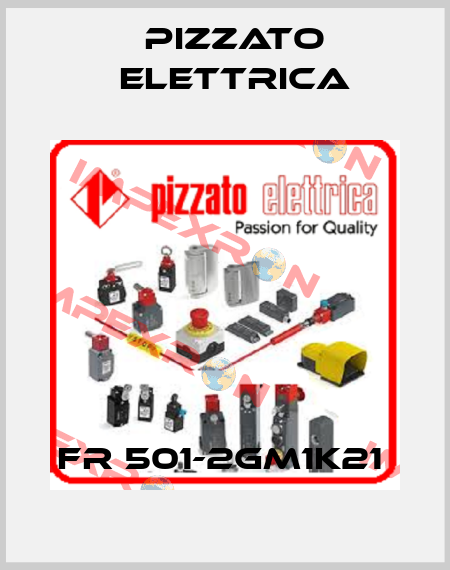 FR 501-2GM1K21  Pizzato Elettrica