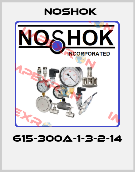 615-300A-1-3-2-14  Noshok