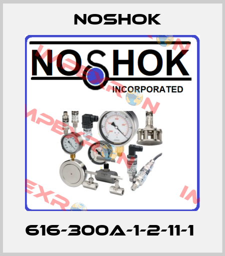 616-300A-1-2-11-1  Noshok