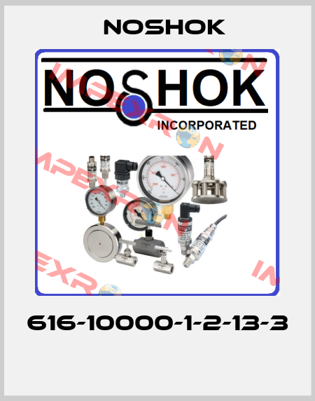 616-10000-1-2-13-3  Noshok