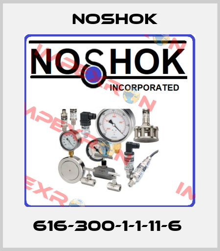 616-300-1-1-11-6  Noshok
