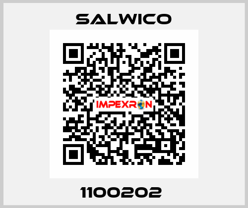 1100202  Salwico