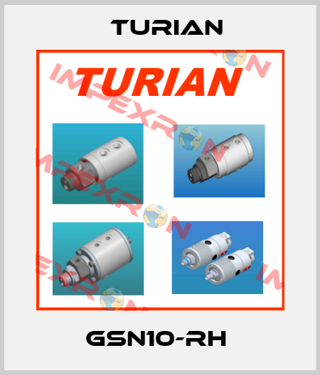 GSN10-RH  Turian