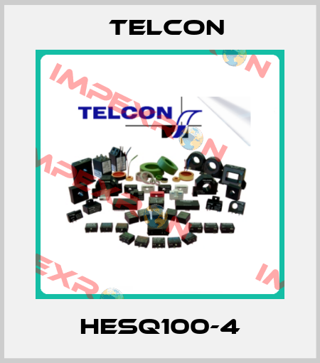 HESQ100-4 Telcon