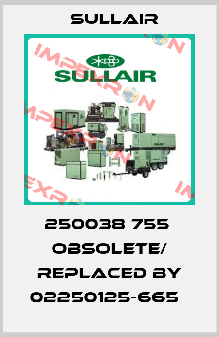 250038 755  obsolete/ replaced by 02250125-665   Sullair