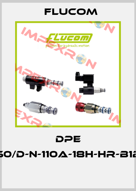 DPE 50/D-N-110A-18H-HR-B12  Flucom