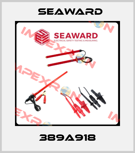 389A918 Seaward