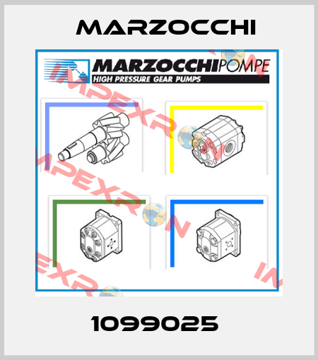 1099025  Marzocchi