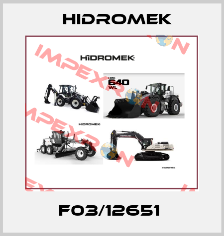 F03/12651  Hidromek