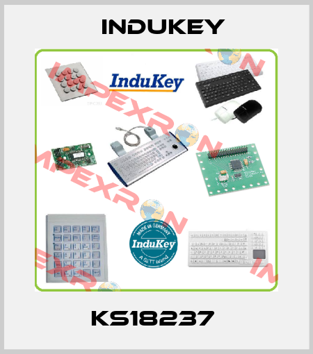 KS18237  InduKey