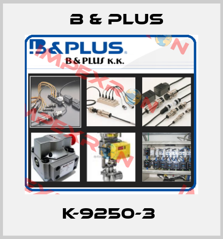 K-9250-3  B & PLUS