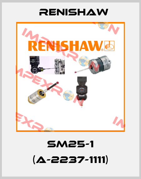 SM25-1 (A-2237-1111) Renishaw