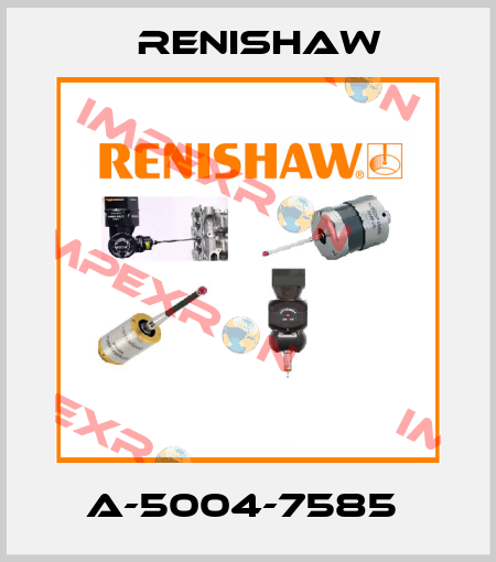 A-5004-7585  Renishaw