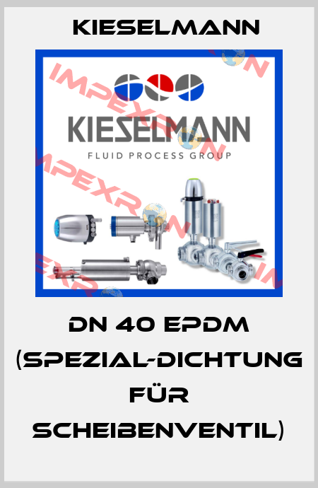 DN 40 EPDM (Spezial-Dichtung für Scheibenventil) Kieselmann
