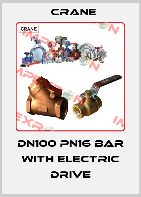 DN100 Pn16 bar with electric drive Crane