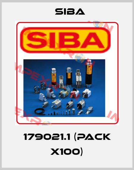 179021.1 (pack x100) Siba
