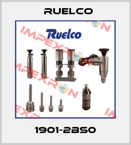 1901-2BS0 Ruelco