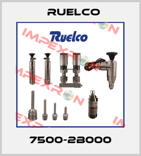 7500-2B000 Ruelco